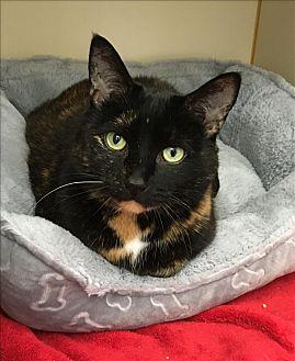 Charlotte (20941105)