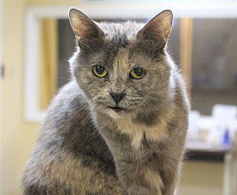 Chassie (13216372)