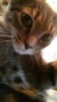 Chloee (20074929)