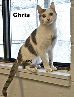 Chris (20914084)