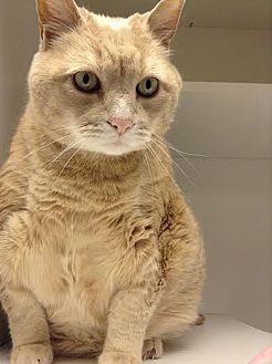 Chris Farley (13137952)