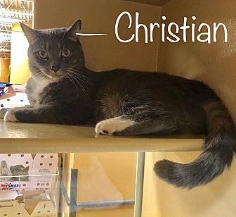 Christian (20832234)
