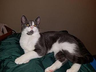 Chunk (18601491)