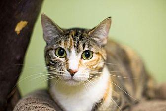 Cindee (13625467)