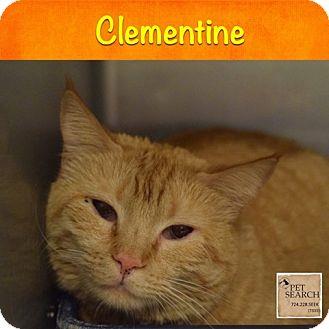 Clementine (15941391)