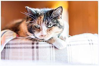 Cleo (12752354)