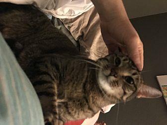 Cleo (20590265)