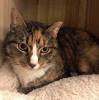 Cleo (20764804)