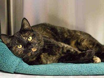 CLEO – ID#A3 (20975732)