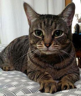 Cleo Loving (20691438)