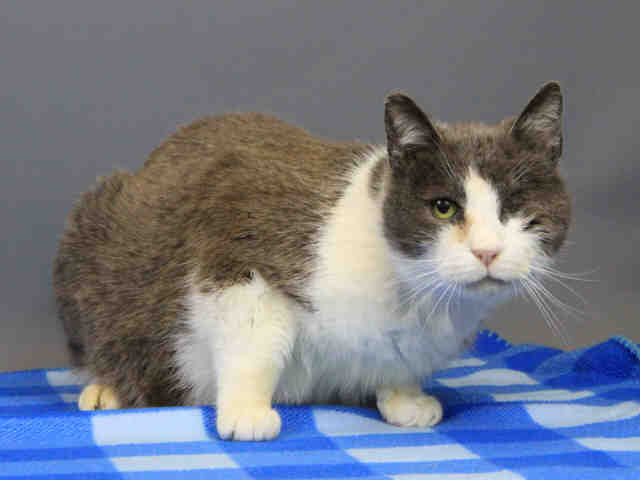 CLYDE (A105630)
