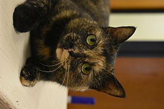 Constance (21115361)