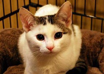 Cracker Jack (14379629)