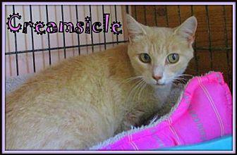 Creamsicle (19570041)