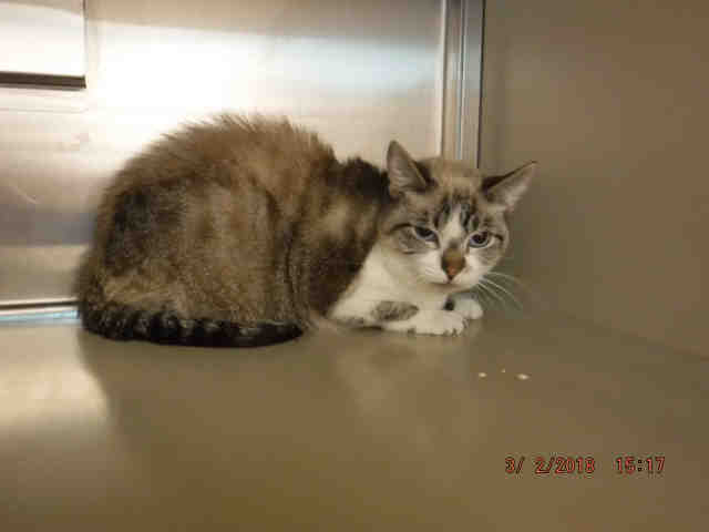 CUDDLES (A136556)