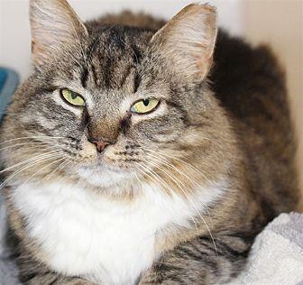 Daisey Mae (20808131)