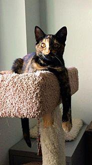 Delia (20973745)