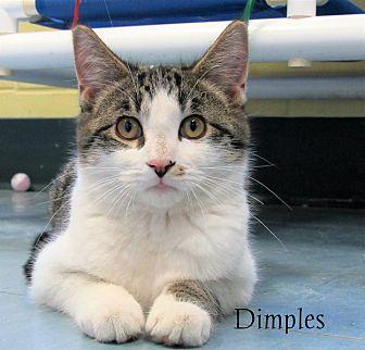 Dimples (20898435)