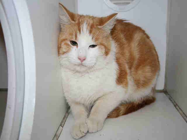 *DOC (A494333)