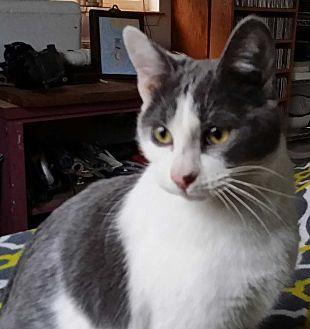 Dori (19382426)
