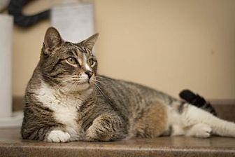 Dougy (20935063)
