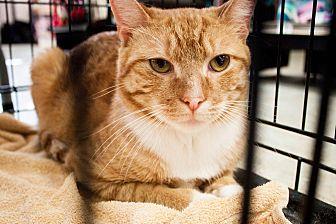 Doyle (21113601)