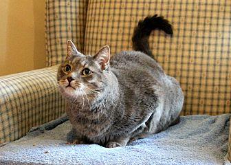 Dusty (20825142)