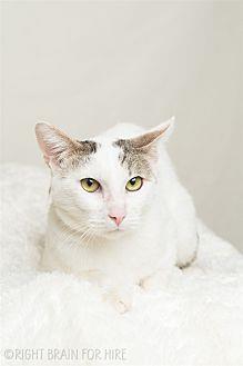 Dusty (20963398)