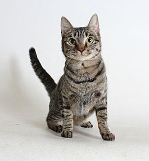 Ebba (20853582)
