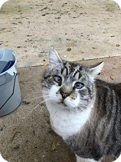 Edgar (17922855)