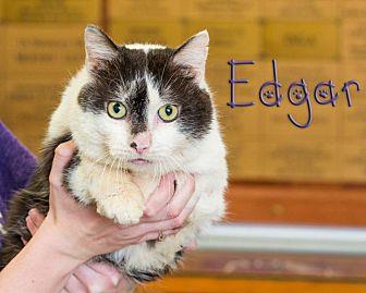Edgar (20875936)