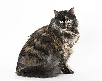 Ella (20507550)