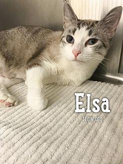 Elsa (21094512)