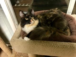 FARRAH (A728258)