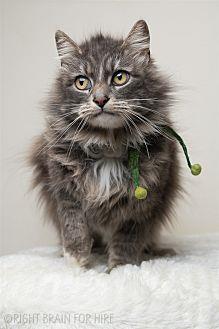Feliciana (21055023)