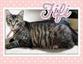 Fifi (21076933)