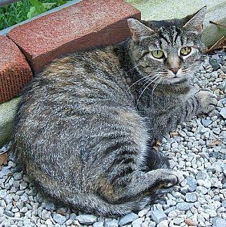 Fiona (13739221)