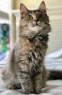 Fiona (20865814)