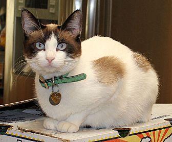 Fiona (20910501)