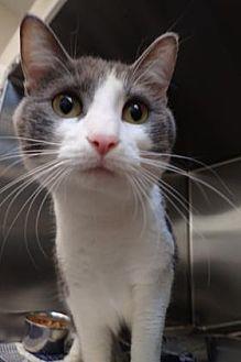Fiona (21055449)