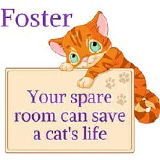 FOSTER Homes (18068099)