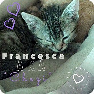 Francesca (18647090)