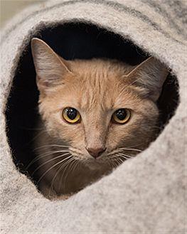 Frankie (20950481)