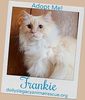 FRANKIE (20964821)
