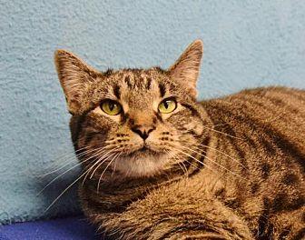 Frankie (20979673)