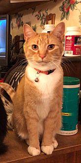 Fred (20878947)