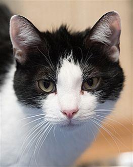 Freddie (20916927)