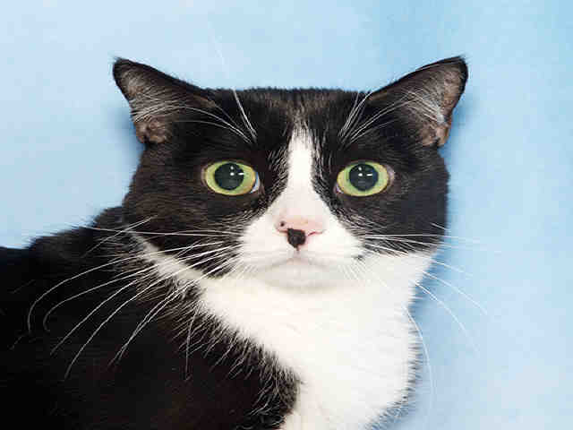 FREDERICK (A026264)