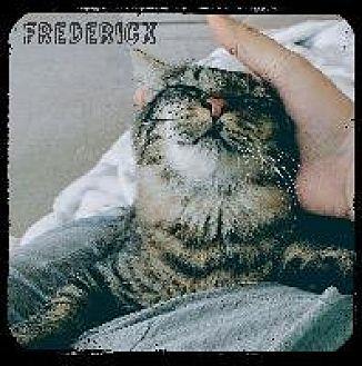 Fredrick (20882667)