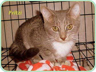Fritzi (13953826)